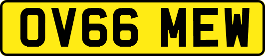 OV66MEW