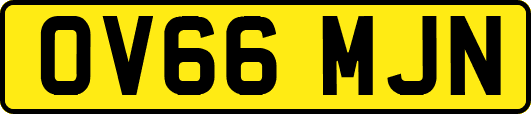 OV66MJN