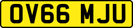 OV66MJU
