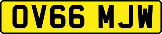 OV66MJW
