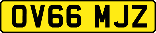 OV66MJZ
