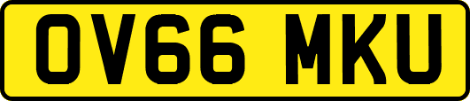 OV66MKU