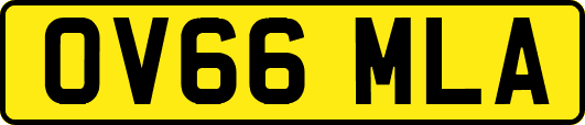 OV66MLA