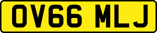 OV66MLJ