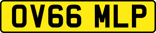 OV66MLP