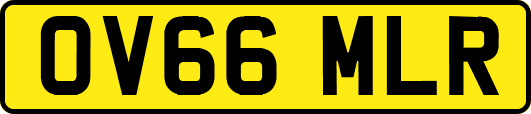 OV66MLR