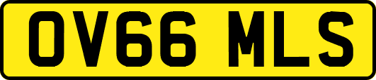 OV66MLS