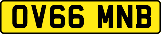 OV66MNB