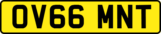 OV66MNT