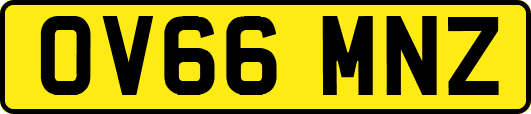OV66MNZ