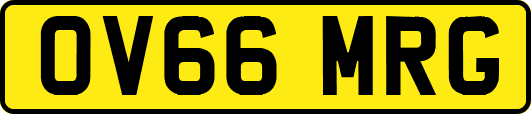 OV66MRG