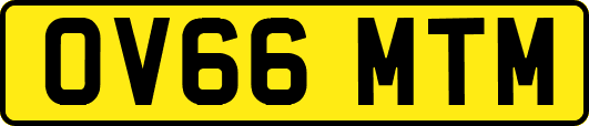 OV66MTM