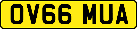 OV66MUA