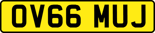 OV66MUJ