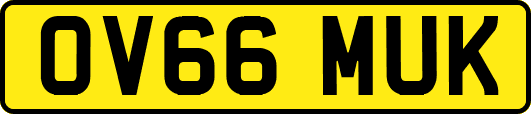 OV66MUK