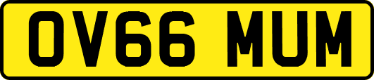 OV66MUM