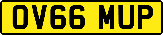 OV66MUP