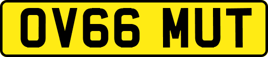 OV66MUT