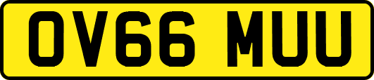 OV66MUU