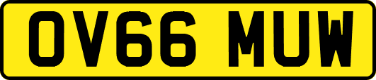 OV66MUW