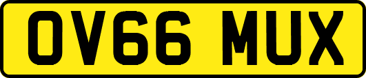 OV66MUX