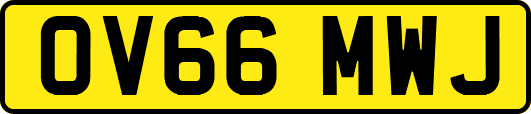 OV66MWJ