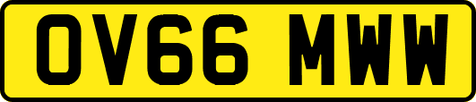 OV66MWW
