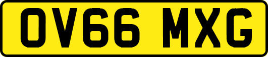 OV66MXG