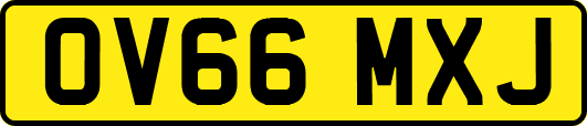 OV66MXJ