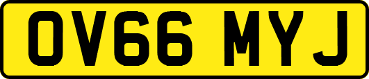 OV66MYJ