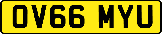 OV66MYU