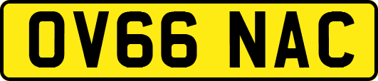 OV66NAC