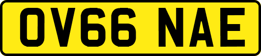 OV66NAE