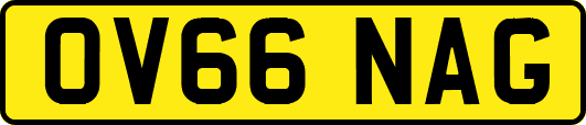 OV66NAG