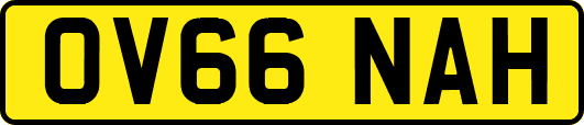 OV66NAH