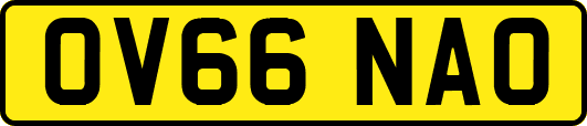 OV66NAO