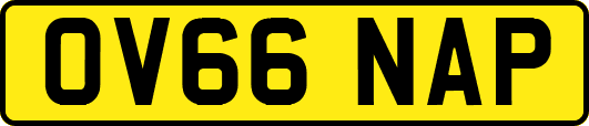 OV66NAP