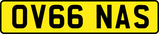 OV66NAS