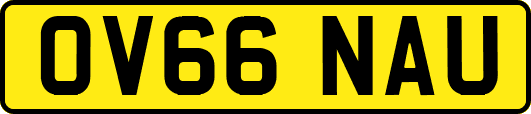 OV66NAU