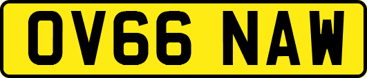 OV66NAW
