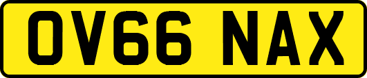 OV66NAX