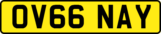 OV66NAY
