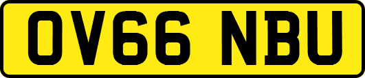 OV66NBU
