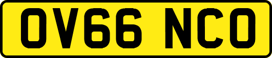 OV66NCO