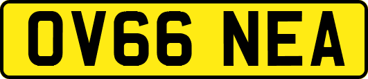 OV66NEA