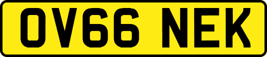 OV66NEK