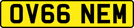 OV66NEM