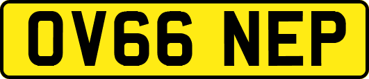 OV66NEP