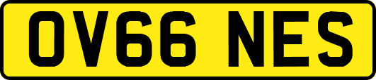 OV66NES