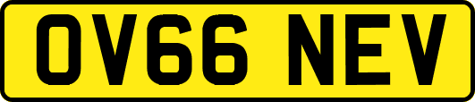 OV66NEV